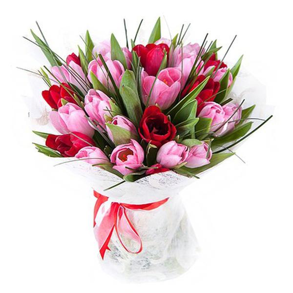 Букет тюльпанов недорого москва ромашки купить искусственные цветы