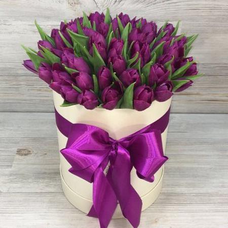 49 фиолетовых тюльпанов в белой коробке