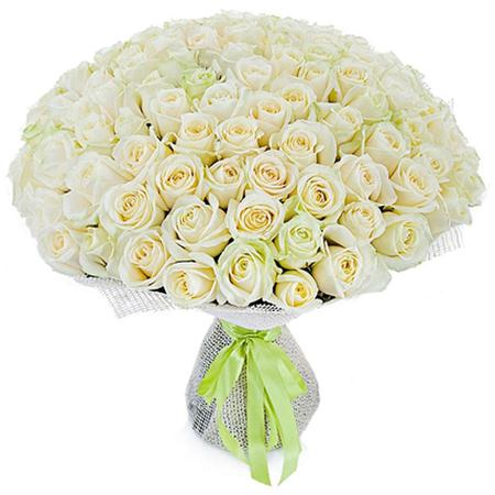 Букет 101 белая роза (40 см)