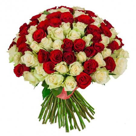 151 роза красно-белая (40 см)