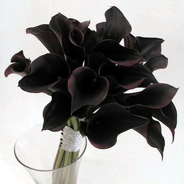 Черные каллы купить в москве доставка цветов красноярск flowwow
